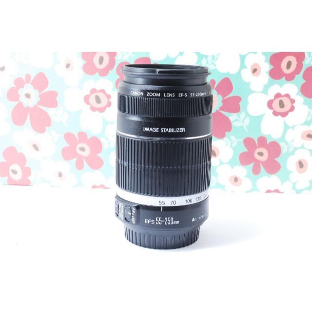 ❤Canon EF-S 55-250mm F4-5.6 IS❤手振れ補正❤望遠❤ 5