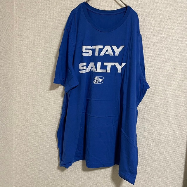 443【美品】US ヴィンテージ 古着 Salty Salty Tシャツ 半袖 メンズのトップス(Tシャツ/カットソー(半袖/袖なし))の商品写真