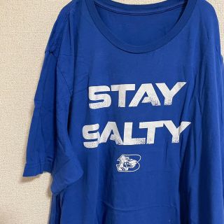 443【美品】US ヴィンテージ 古着 Salty Salty Tシャツ 半袖(Tシャツ/カットソー(半袖/袖なし))