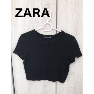 ザラ(ZARA)のZARA【M】ショート丈 Tシャツ ミニT 綿 半袖 トップス(Tシャツ(半袖/袖なし))