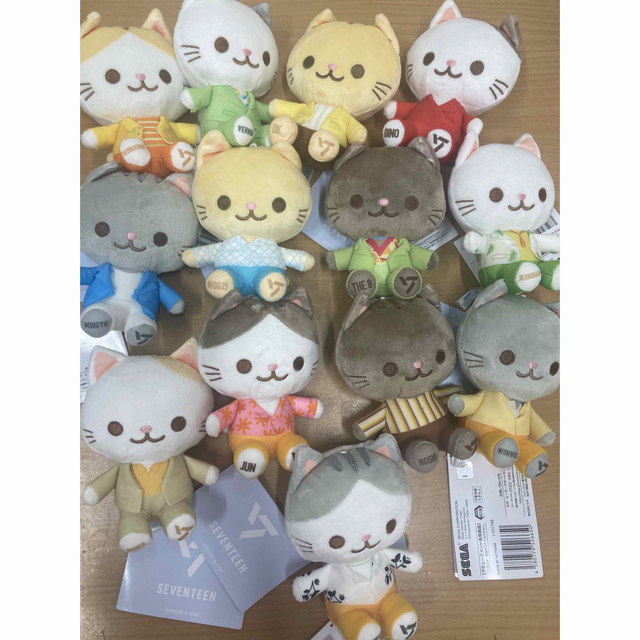 交換無料! SEVENTEEN セブチ ANIMALCOORDYぬいぐるみ ネコ ジョンハン