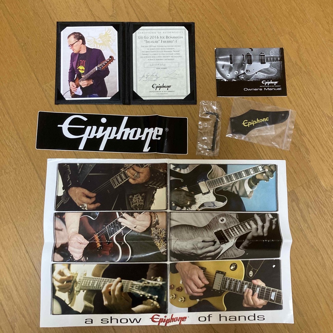 Epiphone(エピフォン)のエピフォン　ジョーボナマッサ　ファイヤーバードＩ　トレジャー 楽器のギター(エレキギター)の商品写真