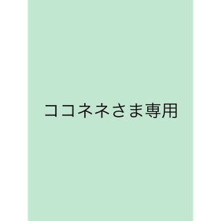 ココネネさま専用　羊毛　オーダーフラワーリース(リース)