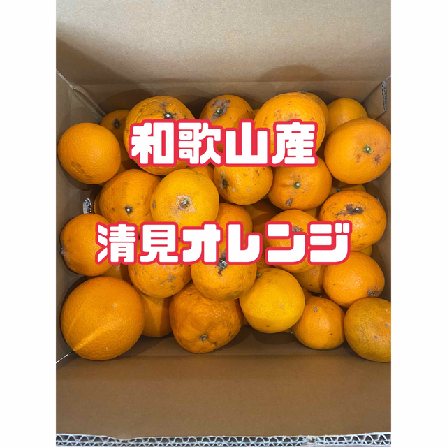 ⭐︎和歌山産⭐︎ 清見　オレンジ 10kg 訳あり　清美　きよみ 食品/飲料/酒の食品(フルーツ)の商品写真