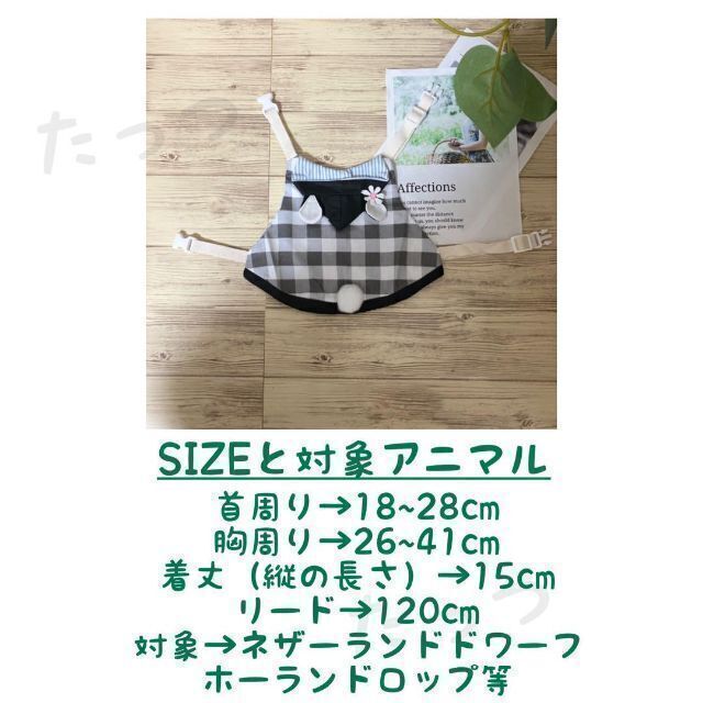 新発売】 Sサイズ うさぎ 小動物 小型犬 ハーネス リード うさ耳付き Mサイズ うさぎ 小動物 小型犬 ハーネス リード うさ耳付き