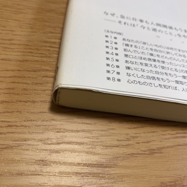 望んでいるものが手に入らない本当の理由 マイナスを受け取るとプラスがついてくる エンタメ/ホビーの本(ビジネス/経済)の商品写真