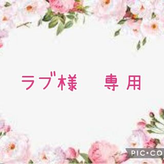 【ラブ様 専用】2点(その他)