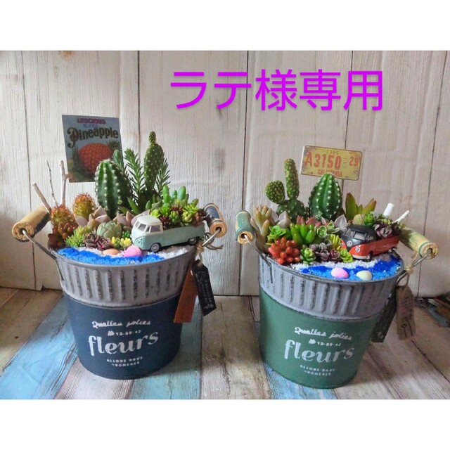 その他専用️♡多肉植物の寄せ植え