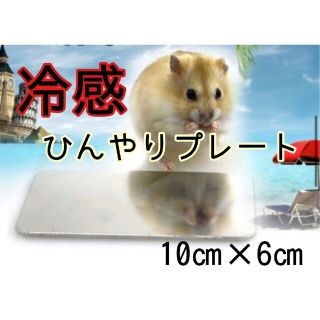 ひんやりプレート　冷感プレート　小動物(小動物)