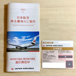 ジャル(ニホンコウクウ)(JAL(日本航空))のJAL 日本航空株主優待(航空券)