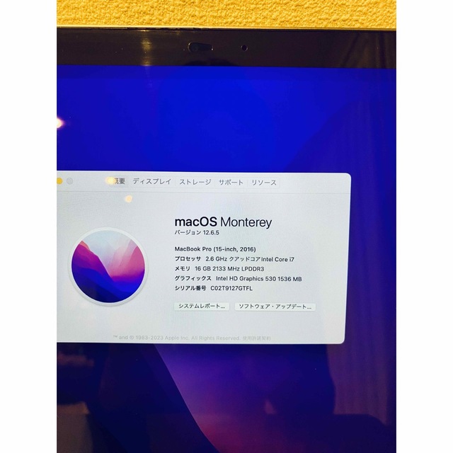 MacBook Pro15 2016年 i7/16gb/256gb Radeon 2