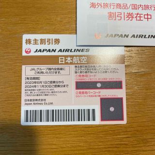 ジャル(ニホンコウクウ)(JAL(日本航空))のJAL 日本航空 株主優待券(航空券)