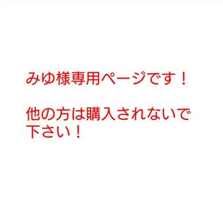 レディース トップス 長袖 L(カットソー(長袖/七分))