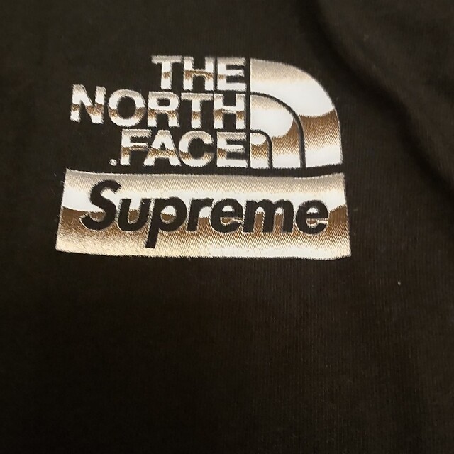 Supreme×NORTHFACEメタリックロゴ