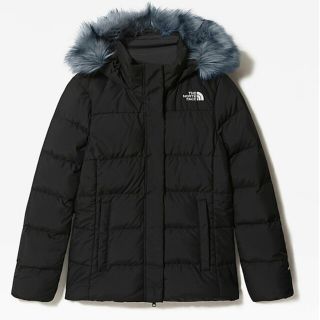 ザノースフェイス(THE NORTH FACE)のザ・ノース・フェイス　ダウンジャケット　GOTHAM(ダウンジャケット)