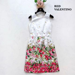 レッドヴァレンティノ 花柄ワンピース ワンピースの通販 27点 | RED