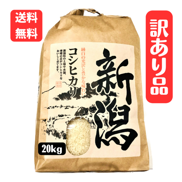 13【中米】20kg 令和4年産、新米新潟県産コシヒカリ食品/飲料/酒