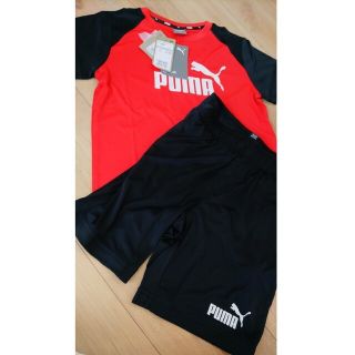 プーマ(PUMA)の新品☆PUMA　プーマ　セットアップ(Tシャツ/カットソー)