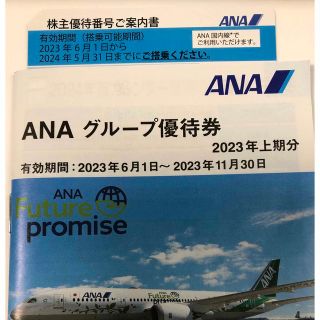 エーエヌエー(ゼンニッポンクウユ)(ANA(全日本空輸))のANA 株主優待券(その他)