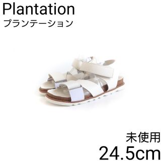 Plantation - 未使用 プランテーション レザー ベルクロ スポーツ