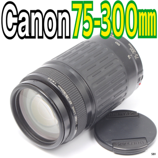 キヤノン(Canon)のキヤノンCanon EF 75-300mm F4-5.6(レンズ(ズーム))