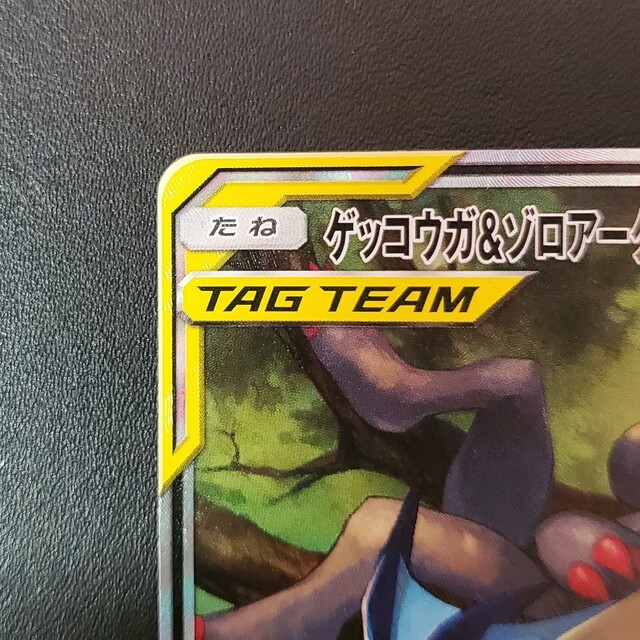 ゲッコウガ&ゾロアークGX SR sa スペシャルアート ポケモンカード ゲッコウガ&ゾロアークGX SR sa スペシャルアート ポケモンカード
