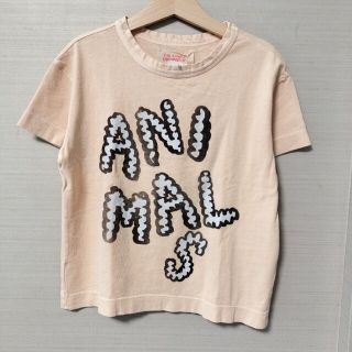 コドモビームス(こども ビームス)のThe Animals Observatory／TAO Tシャツ(Tシャツ/カットソー)