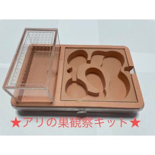 【新品】アリの巣観察キット  アリ飼育キット 蟻の巣観察キット(虫類)