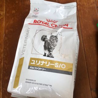 ロイヤルカナン(ROYAL CANIN)のROYAL CANIN ユリナリーS/O ネコ用フード(ペットフード)