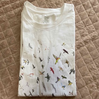 グラニフ(Design Tshirts Store graniph)のグラニフ　鳥さん　Tシャツ　M(Tシャツ(半袖/袖なし))