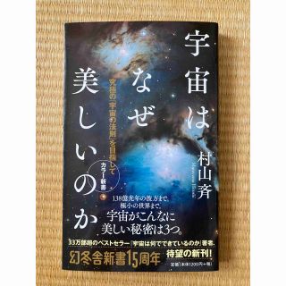 宇宙はなぜ美しいのか 究極の「宇宙の法則」を目指して(その他)