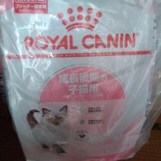 ロイヤルカナン(ROYAL CANIN)のFHN キトン 10kg(猫)