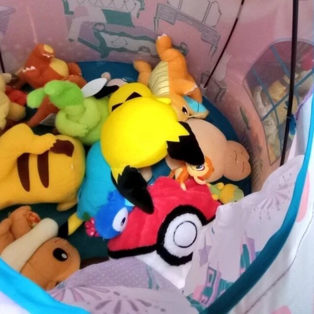 ポケモンぬいぐるみまとめ 専用