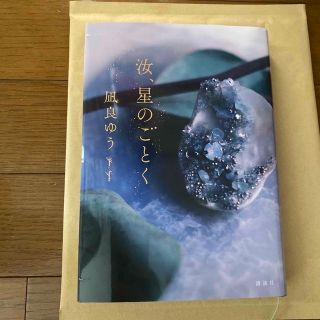 汝、星のごとく(文学/小説)