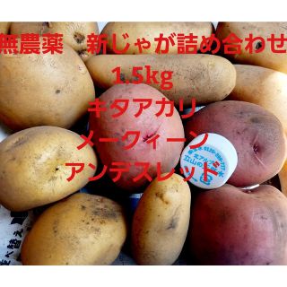 無農薬野菜　新じゃがいも【キタアカリ・メークイーン・アンデスレッド】箱いっぱい(野菜)