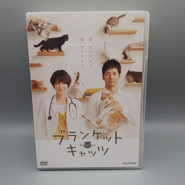 ブランケット・キャッツ　未開封DVD-BOX　西島秀俊　吉瀬美智子　島崎遥香DVD/ブルーレイ