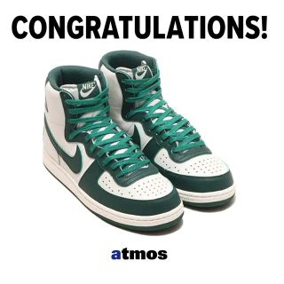 ナイキ(NIKE)のNike Terminator High Noble Green 28.5(スニーカー)