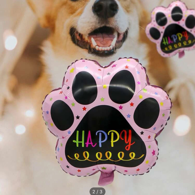 肉球♡バルーン その他のペット用品(犬)の商品写真