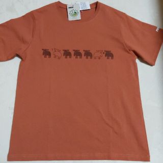 モズ(moz)の新品モズレディースTシャツLサイズ(Tシャツ(半袖/袖なし))