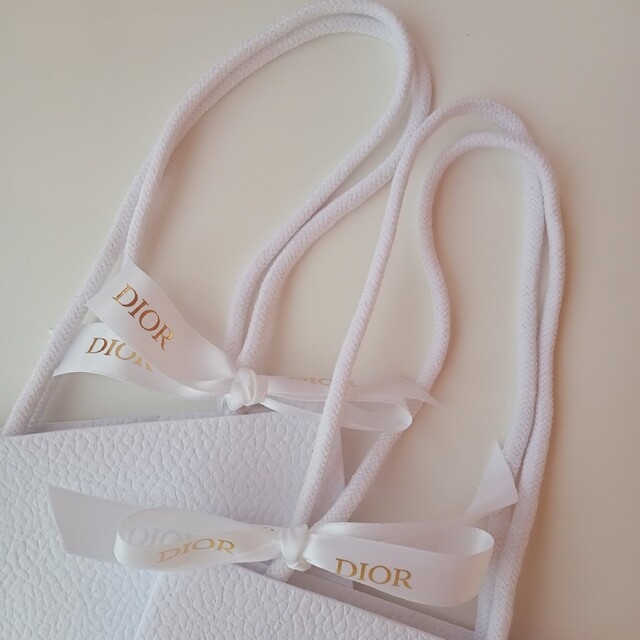 Dior(ディオール)のDior　ショップバッグ　2枚セット レディースのバッグ(ショップ袋)の商品写真