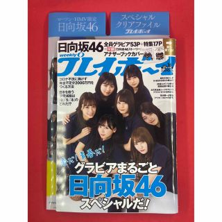 プレイボーイ(PLAYBOY)の週刊プレイボーイ/週プレ 2020年4月6日号 No.14 日向坂46(アート/エンタメ/ホビー)