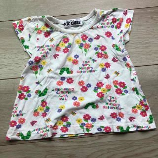 エリックカール(ERIC CARLE)のエリックカール　80(Ｔシャツ)