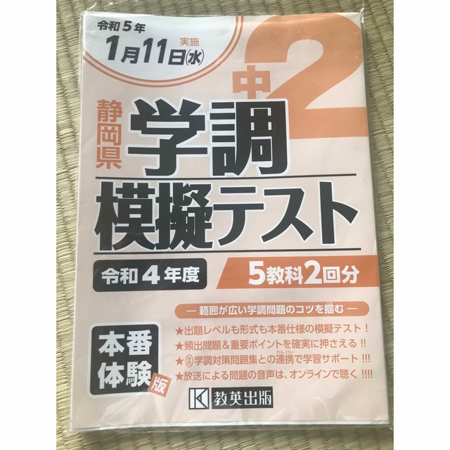 静岡県　R4　中2　Annie's｜ラクマ　学調　模擬テスト　問題のみの通販　by