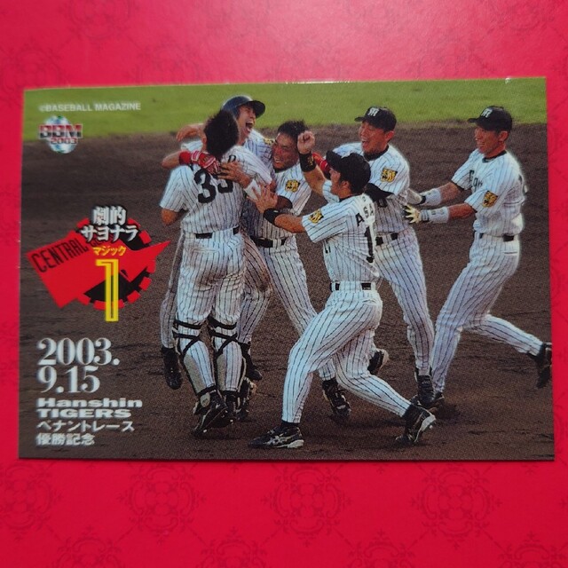阪神タイガース(ハンシンタイガース)のプロ野球カード 阪神タイガース2003 エンタメ/ホビーのテーブルゲーム/ホビー(野球/サッカーゲーム)の商品写真