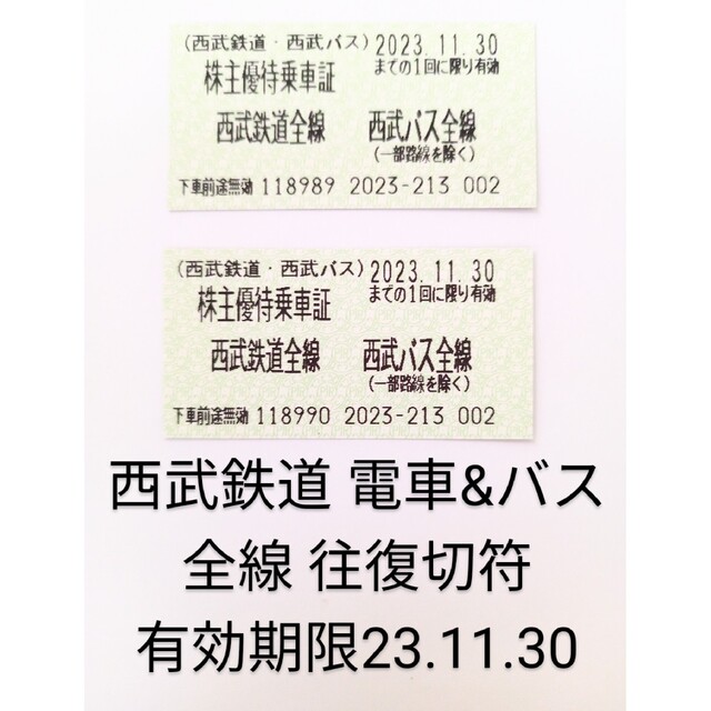 西武鉄道グループ 往復切符 2023 チケットの乗車券/交通券(鉄道乗車券)の商品写真