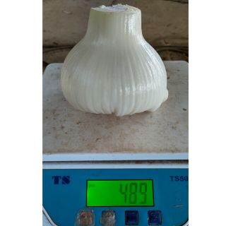 ジャンボニンニク（生）L～2Lサイズ 4kg 栽培期間中無農薬、無化成肥料栽培(野菜)