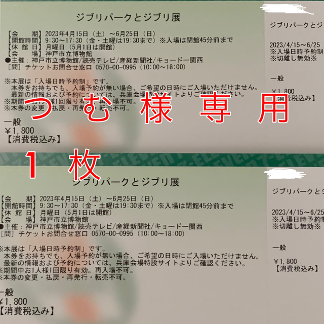 【つむ様専用】ジブリパークとジブリ展 チケット1枚 チケットの施設利用券(美術館/博物館)の商品写真