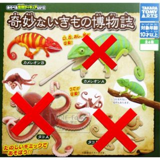 タカラトミーアーツ(T-ARTS)の奇妙ないきもの博物誌　カメレオンB ガチャ　あそべる生物フィギュアシリーズ　(その他)