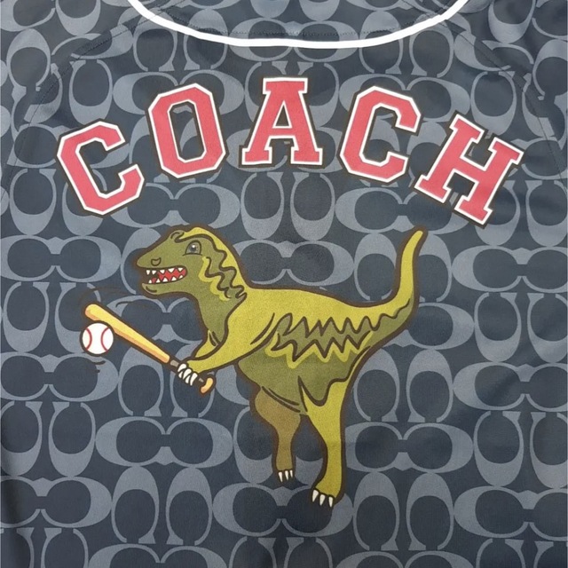 COACH(コーチ)のCOACH×LIONS獅子女ユニフォーム　埼玉西武ライオンズ　コーチ スポーツ/アウトドアの野球(応援グッズ)の商品写真