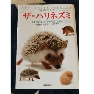 ハリネズミの飼い方(住まい/暮らし/子育て)